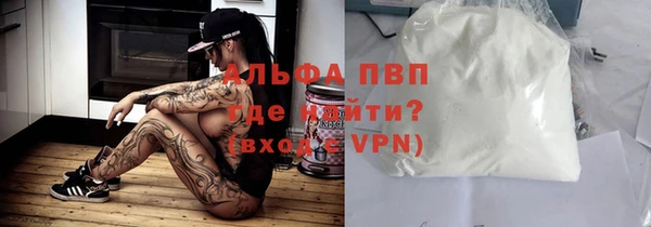 бошки Пересвет