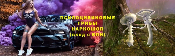 ПСИЛОЦИБИНОВЫЕ ГРИБЫ Абаза