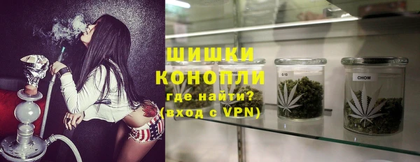 ПСИЛОЦИБИНОВЫЕ ГРИБЫ Абаза