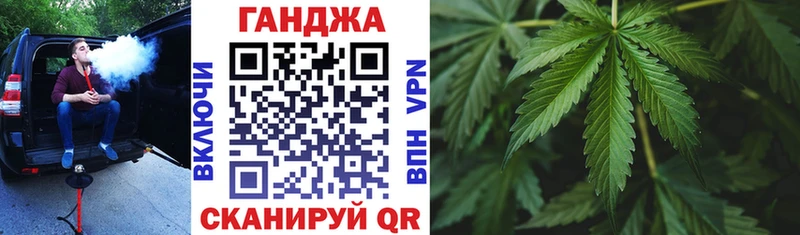 закладка Поворино Бошки Шишки план